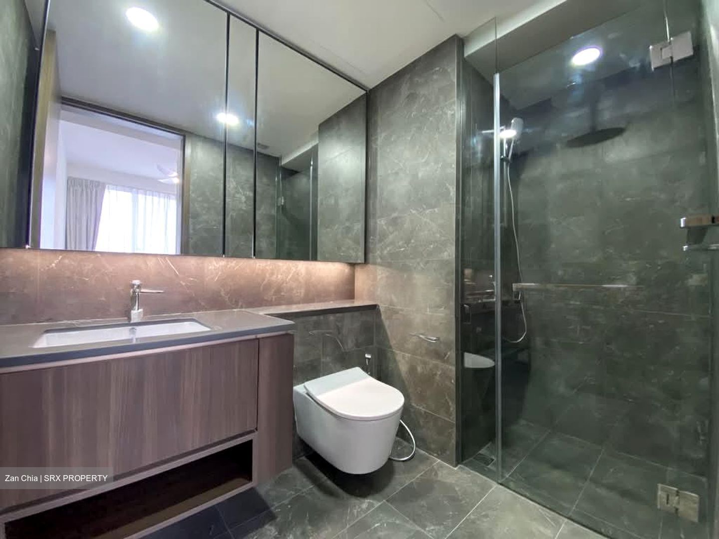 Kopar At Newton (D9), Apartment #565205021